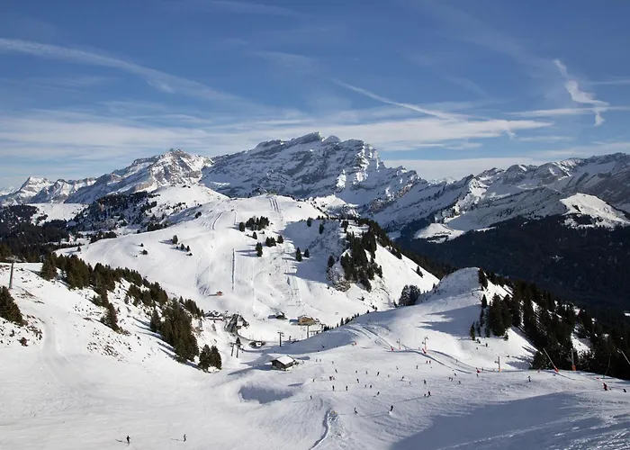 Les Aiguilles D'argent 10 By Interhome