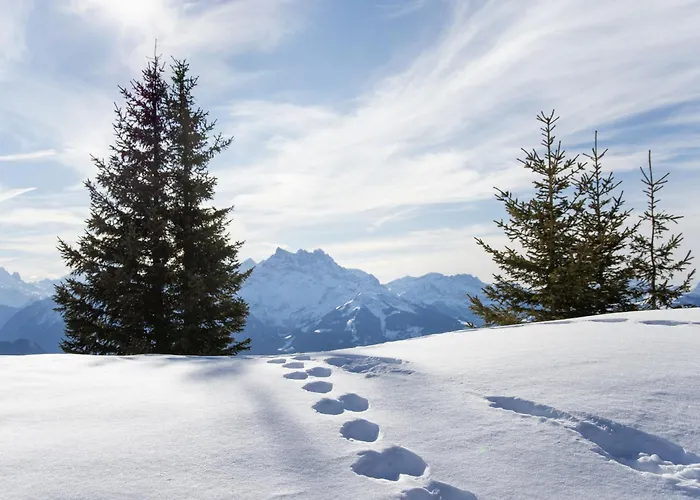 Les Aiguilles D'argent 10 By Interhome