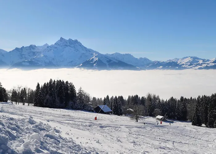 Les Aiguilles D'argent 10 By Interhome アパート Chesières