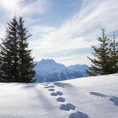 Les Aiguilles D'argent 10 By Interhome